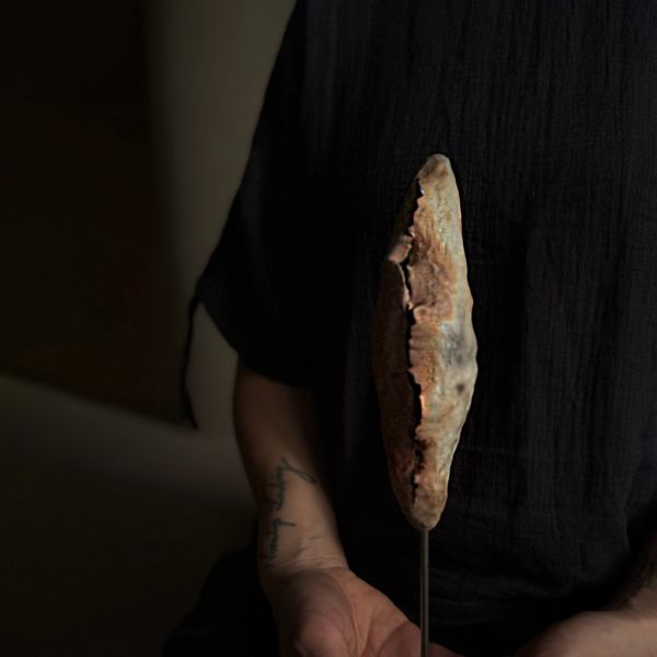 息器｜李荔｜地脈 Earth Pause 04 