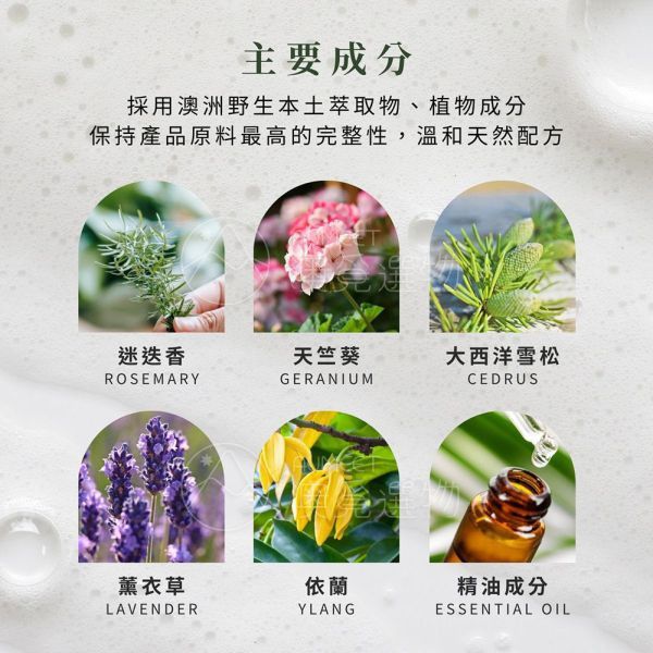 Perfect Potion 迷迭香潤髮乳 500ml Perfect Potion,迷迭香,潤髮乳,有機成分,澳洲潤髮乳,迷迭香潤髮乳,Rosemary,Conditioner,改善毛躁,加強修護,環境友善,植物成分