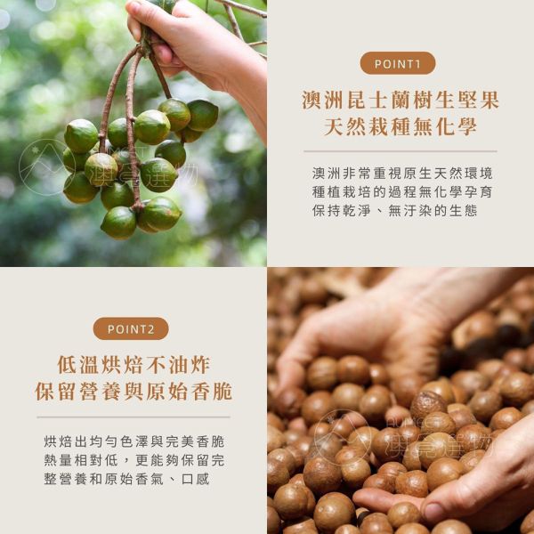 澳洲帶殼夏威夷豆 225g 原味/香草口味｜火山豆｜營養堅果 macadamias australia,澳洲夏威夷豆,帶殼夏威夷豆,夏威夷豆,堅果,無調味堅果,堅果品牌,有機堅果,澳洲堅果,夏威夷果,火山豆