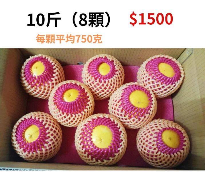 優果多-特級黃金果 黃金果