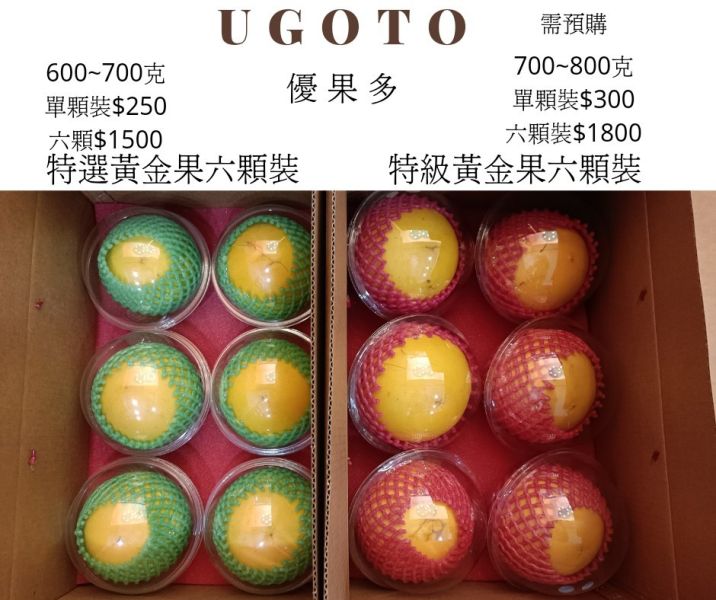 優果多-特級黃金果 黃金果