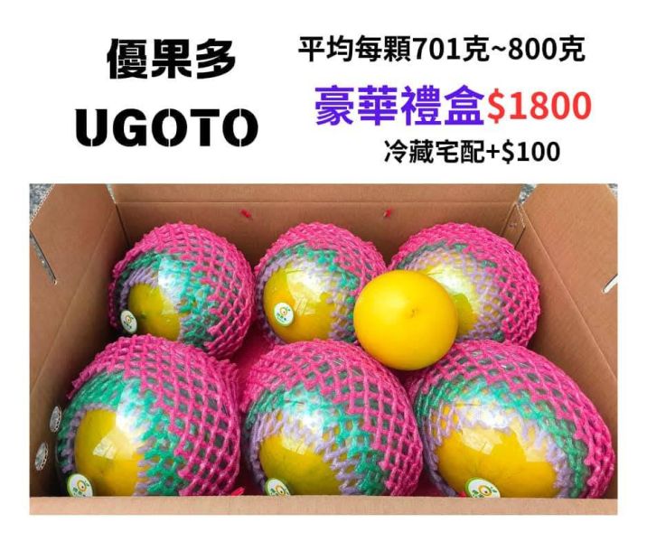 優果多-特級黃金果 黃金果 小農 自產自銷