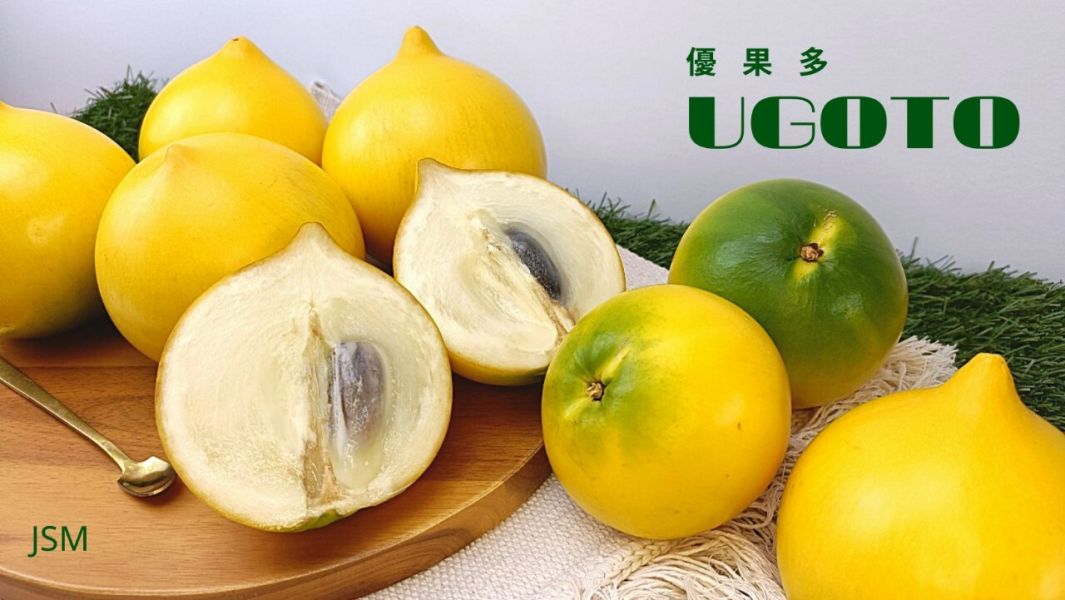 優果多-特級黃金果 黃金果