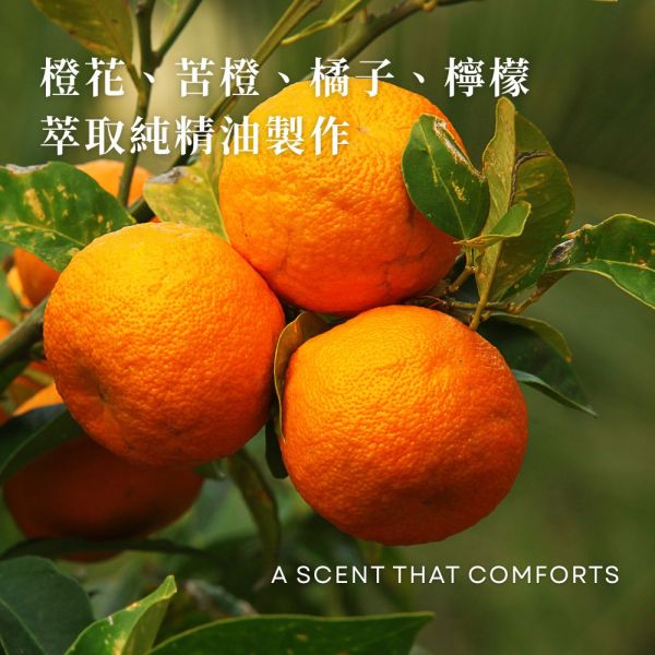 晨光香檸洗手露 ｜苦橙香檸純精油 純精油洗手露, 天然洗手乳, 苦橙洗手露, 橙花香氛, 香檸洗手乳, 不含香精洗手乳, 精油洗手推薦, 溫和洗手露, 敏感肌洗手乳, 居家洗手好物, 精油香氛洗手乳, 清新柑橘香, 苦橙香檸, 清爽不膩洗手露, 手部清潔保養