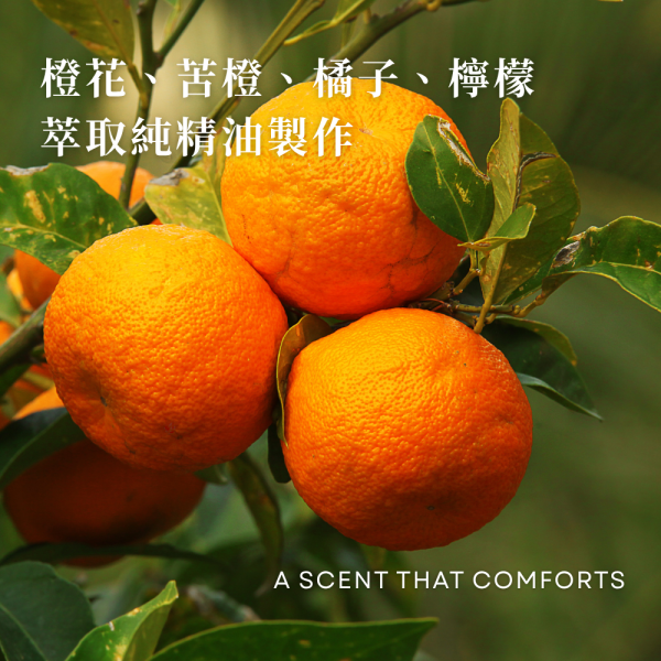 晨光香檸洗手露 ｜苦橙香檸純精油 純精油洗手露, 天然洗手乳, 苦橙洗手露, 橙花香氛, 香檸洗手乳, 不含香精洗手乳, 精油洗手推薦, 溫和洗手露, 敏感肌洗手乳, 居家洗手好物, 精油香氛洗手乳, 清新柑橘香, 苦橙香檸, 清爽不膩洗手露, 手部清潔保養