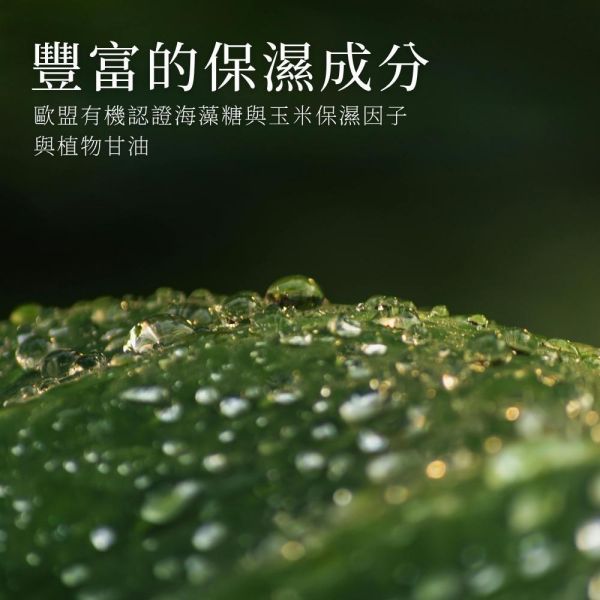 晨光香檸洗手露 ｜苦橙香檸純精油 940ml 純精油洗手露, 天然洗手乳, 苦橙洗手露, 橙花香氛, 香檸洗手乳, 不含香精洗手乳, 精油洗手推薦, 溫和洗手露, 敏感肌洗手乳, 居家洗手好物, 精油香氛洗手乳, 清新柑橘香, 苦橙香檸, 清爽不膩洗手露, 手部清潔保養