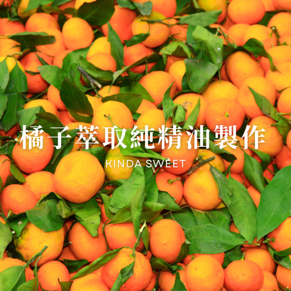 清新柑橘慕斯洗手液 柑橘,柑橘精油,雪松精油,洗手液,洗手乳,洗手露,慕斯,慕斯洗手液,泡沫洗手液,獅王,innogoods,innogoods洗手液,給皂機,泡沫給皂機,洗手機,泡沫洗手機,柑橘洗手露,柑橘洗手液,顧顧家,柑橘洗手液