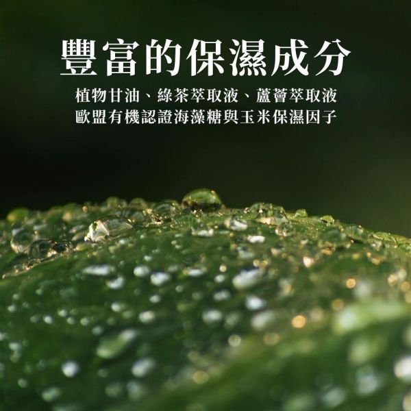 茶樹精油慕斯洗手液 茶樹精油,澳洲茶樹,雪松精油,洗手液,洗手乳,洗手露,慕斯,慕斯洗手液,泡沫洗手液,獅王,innogoods,innogoods洗手液,給皂機,泡沫給皂機,洗手機,泡沫洗手機,潔研所