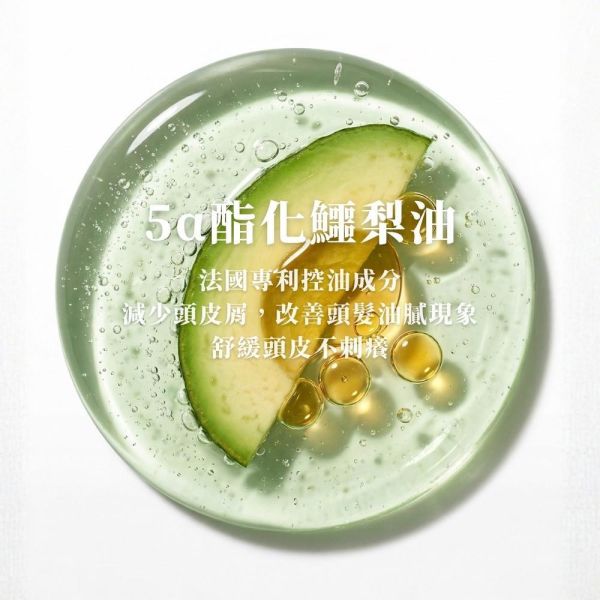 頭皮淨化控油洗髮露 (微涼感) 