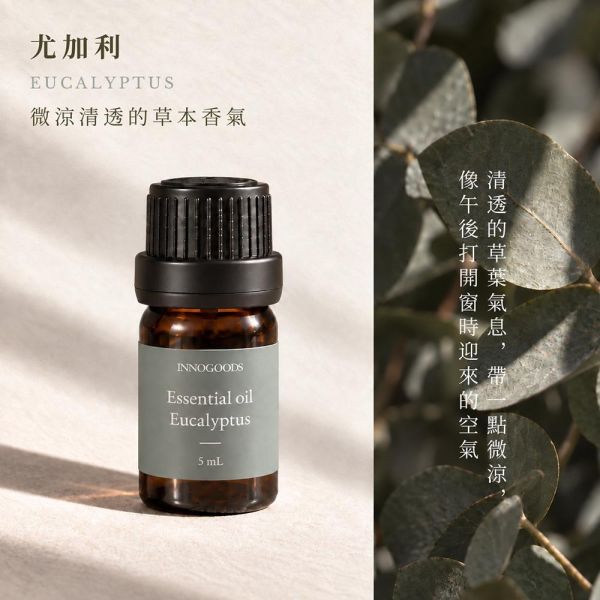 尤加利純精油 5ml 
