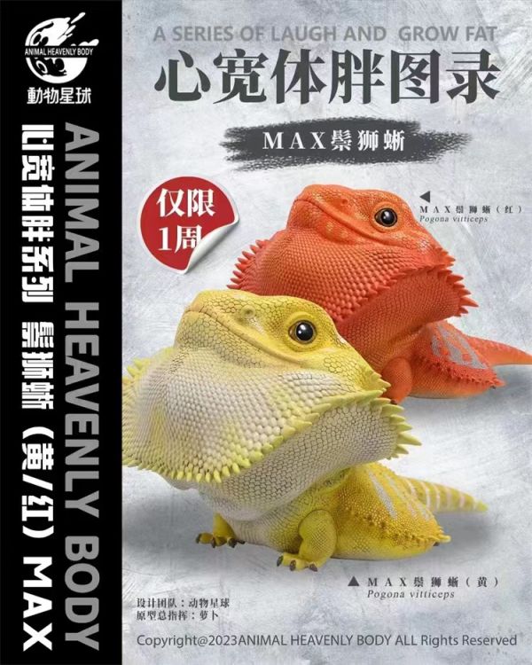 【GK預購】動物星球 鬃獅蜥｜心寬體胖系列 GK,GK模型,GK公仔,GK雕像,GK預購,GK現貨,模型,公仔,手辦,動物星球,鬃獅蜥,心寬體胖系列,SCC,SCC玩具屋,希模型,玩童,七龍珠,火影忍者,海賊王