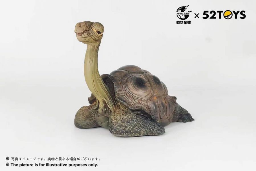 【預購】動物星球 加拉帕戈斯象龜 動物星球 加拉帕戈斯象龜,完成品,手辦,玩具,模型,海賊王,鬼滅之刃,GK公仔,七龍珠