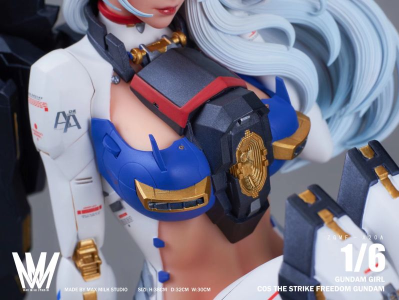 【GK補款】MMS 機娘第二彈 自由少女 GK,GK模型,GK公仔,GK雕像,GK預購,GK現貨,模型,公仔,手辦,MMS,機娘第二彈,自由少女,SCC,SCC玩具屋,希模型,玩童,七龍珠,火影忍者,海賊王