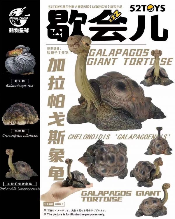 【預購】動物星球 加拉帕戈斯象龜 動物星球 加拉帕戈斯象龜,完成品,手辦,玩具,模型,海賊王,鬼滅之刃,GK公仔,七龍珠