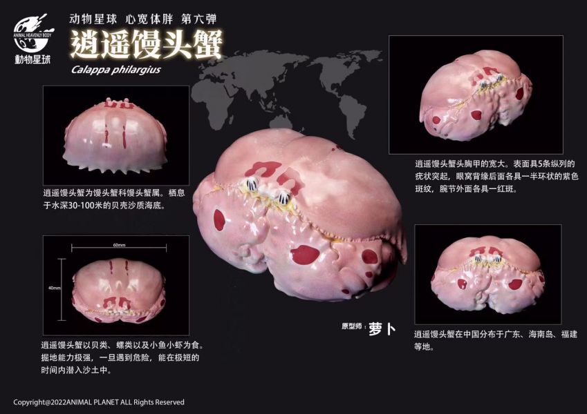 【補款】動物星球 心寬體胖系列 甲殼類動物 動物星球 心寬體胖系列 甲殼類動物,完成品,手辦,玩具,模型,海賊王,鬼滅之刃,GK公仔,七龍珠