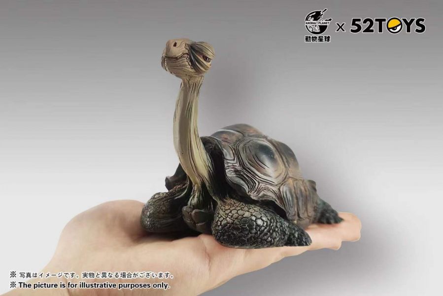 【預購】動物星球 加拉帕戈斯象龜 動物星球 加拉帕戈斯象龜,完成品,手辦,玩具,模型,海賊王,鬼滅之刃,GK公仔,七龍珠