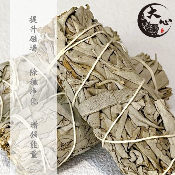 【大心沉香】白鼠尾草4吋1捆【淨化磁場/提升能量】【美國原裝進口】天然草本香草植物 