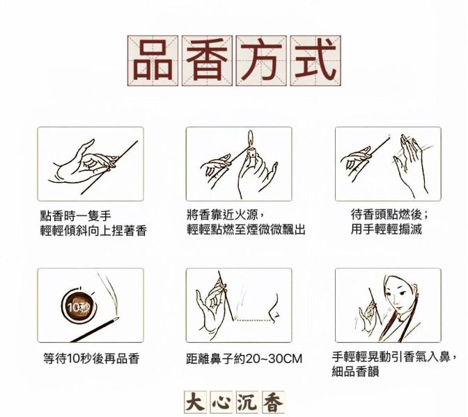 【大心沉香】伽羅紅土沉香  7吋高端臥香【野料】【限量推出】【買4送1】 