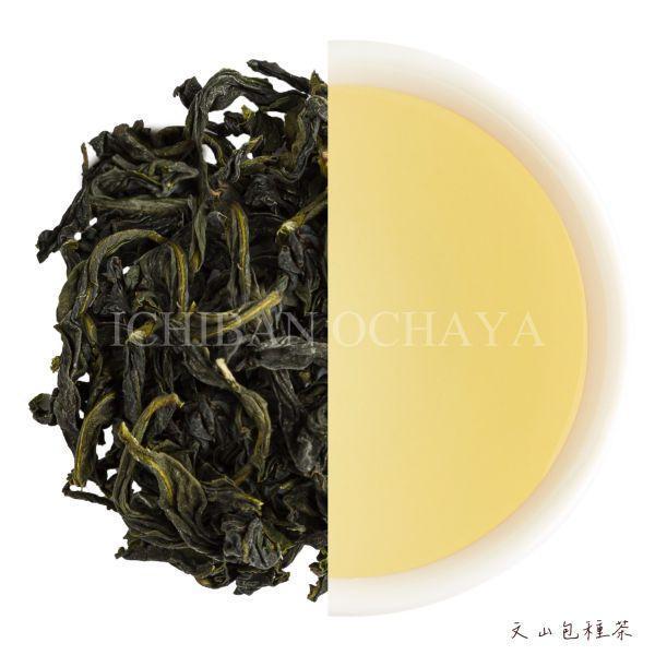 文山包種茶 文山包種茶、坪林包種茶、台灣烏龍茶、青心烏龍、輕發酵茶、花香烏龍、冷泡茶推薦、清香型烏龍、台灣茶巡禮