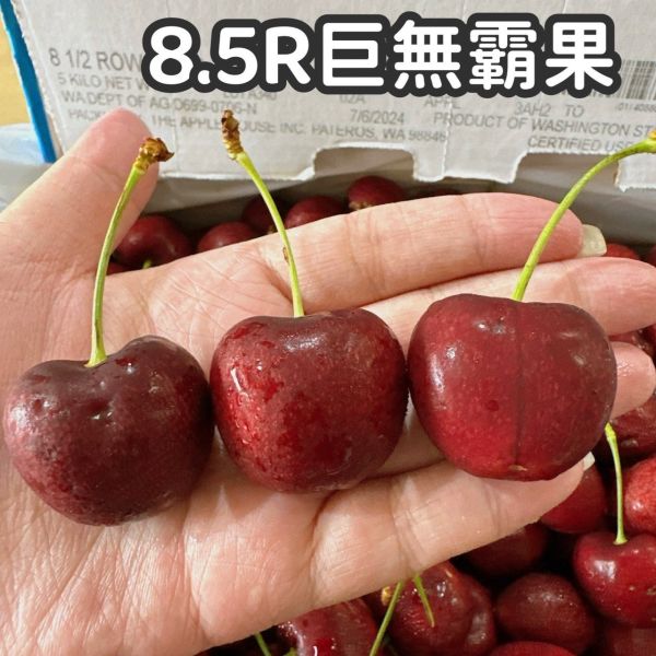 【免運】美國華盛頓西北櫻桃 