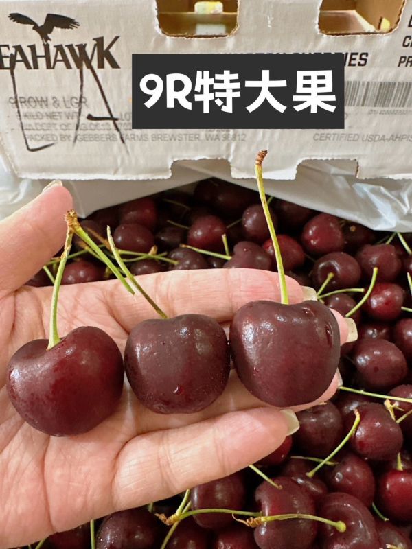 【免運】美國華盛頓西北櫻桃 