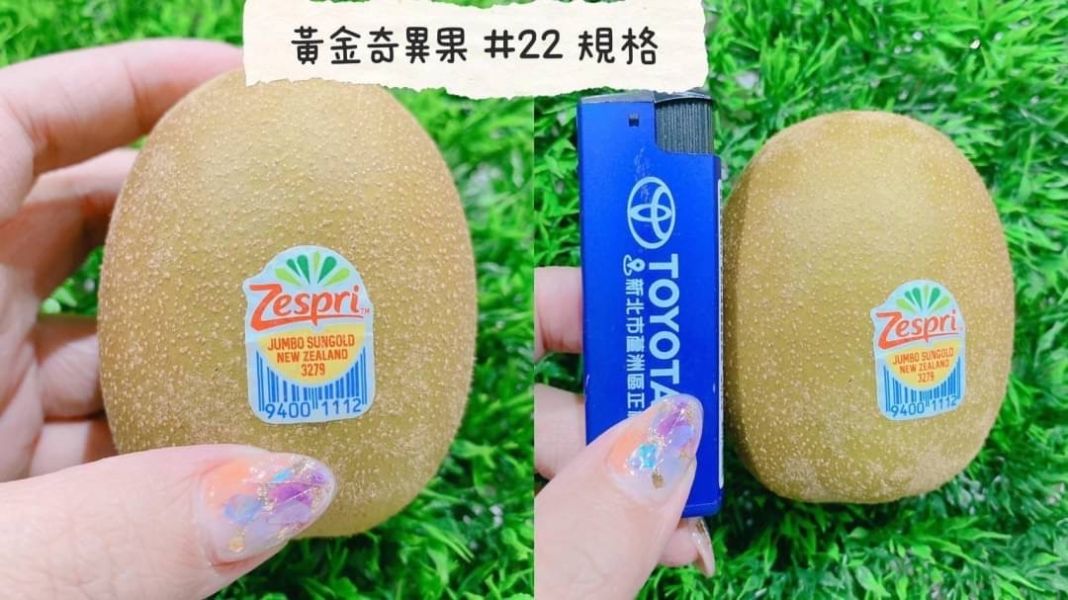 免運費~紐西蘭Zespri黃金奇異果 紐西蘭
奇異果
黃金