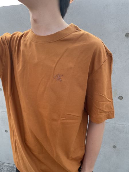 Calvin Klein 男生刺繡logo短T 