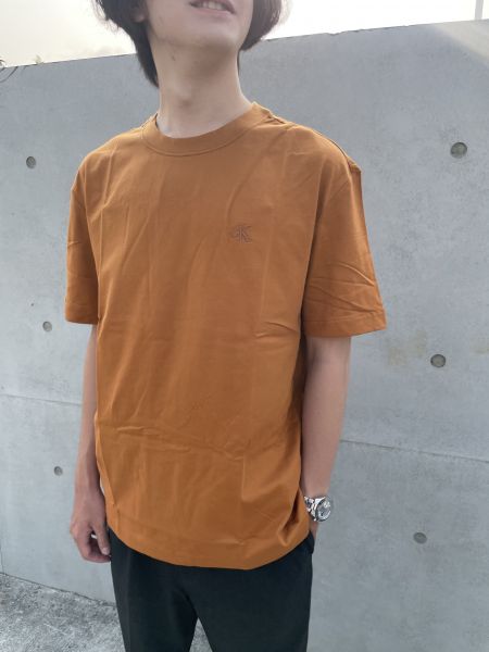 Calvin Klein 男生刺繡logo短T 