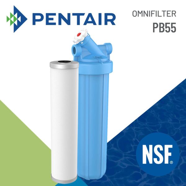 【Pentair濱特爾】全屋式專業除鉛過濾器 (BB3010-00) 
