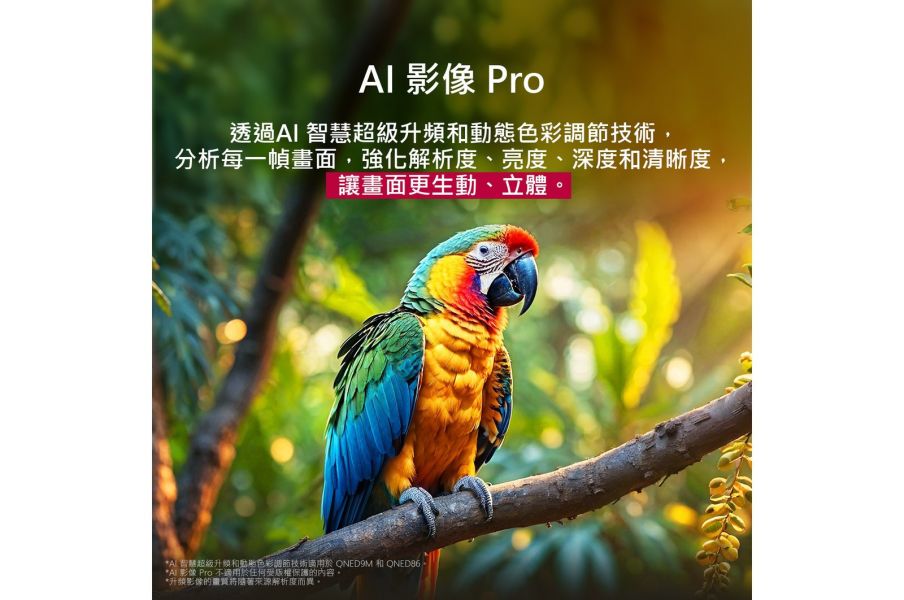 【LG樂金】100吋 4K 120Hz QNED量子奈米  AI物聯網 語音顯示器 (100QNED86AT) 