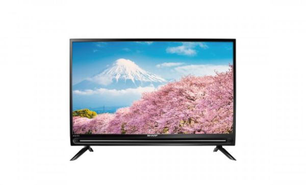 【SHARP夏普】42吋 UHD HDR LED Google TV聯網顯示器 (2T-C42EG1X) 
