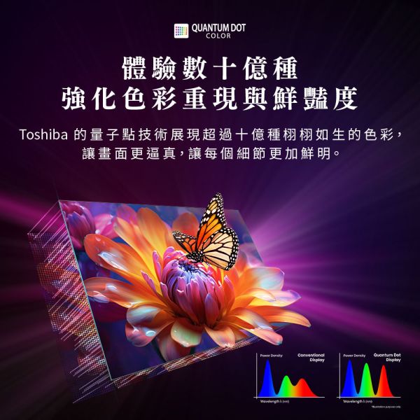 【TOSHIBA 東芝】65吋 QLED REGZA 4K 智慧顯示器 (65M450NT) 
