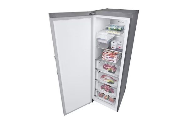 【LG樂金】公升 冰箱 (GR-FL40MS) 