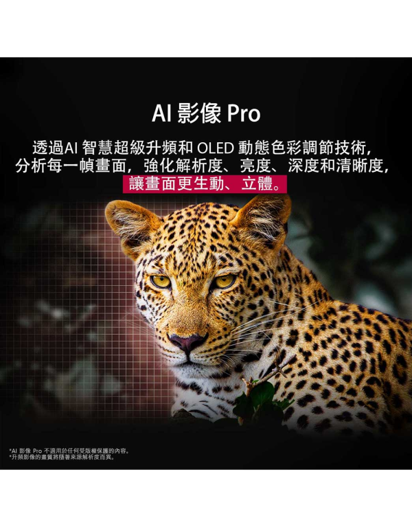 【LG樂金】65吋OLED evo AI 4K 連網智慧顯示器｜C5系列｜(OLED65C5PTA) 