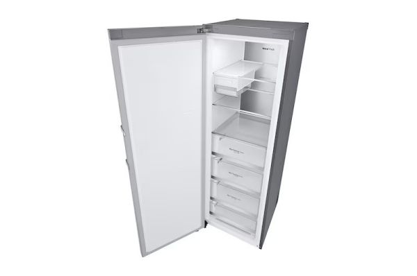 【LG樂金】公升 冰箱 (GR-FL40MS) 