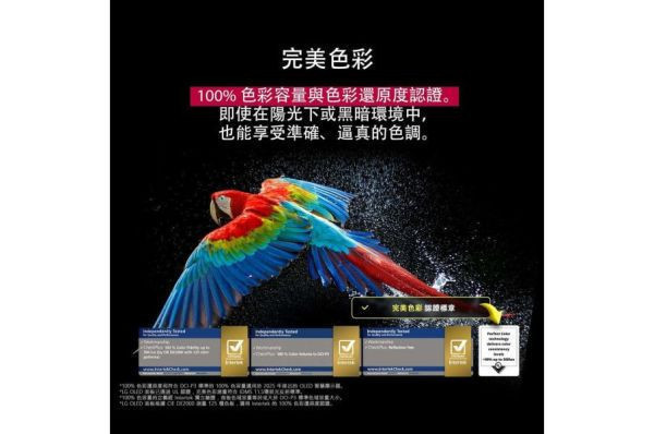 【LG樂金】55吋 OLED 4K連網智慧顯示器(OLED55G5PTA) 