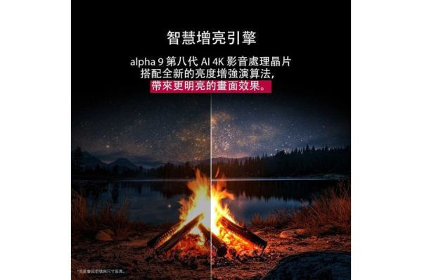 【LG樂金】65吋OLED evo AI 4K 連網智慧顯示器｜C5系列｜(OLED65C5PTA) 
