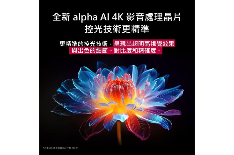 【LG樂金】100吋 4K 120Hz QNED量子奈米  AI物聯網 語音顯示器 (100QNED86AT) 