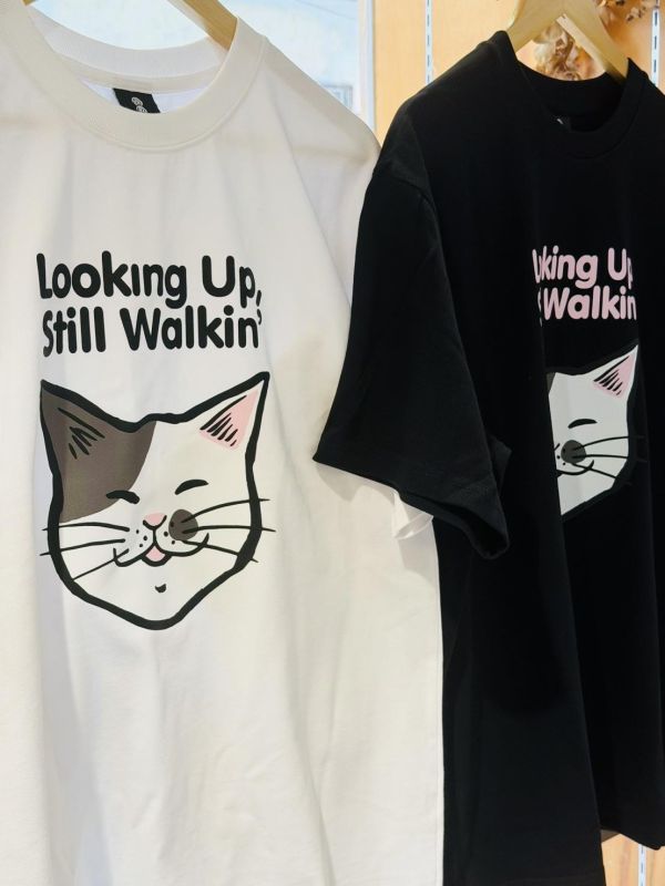 河童堂| Looking Up Still Walkin‘ | 重磅落肩短T/ 共三款 