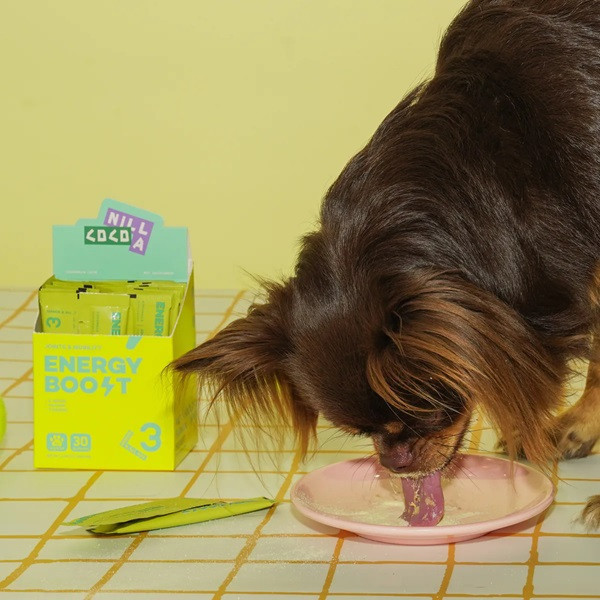 【CoCoLAB Pet Supplement】關節活力配方寵物保健粉_奶香起司風味(30入) 