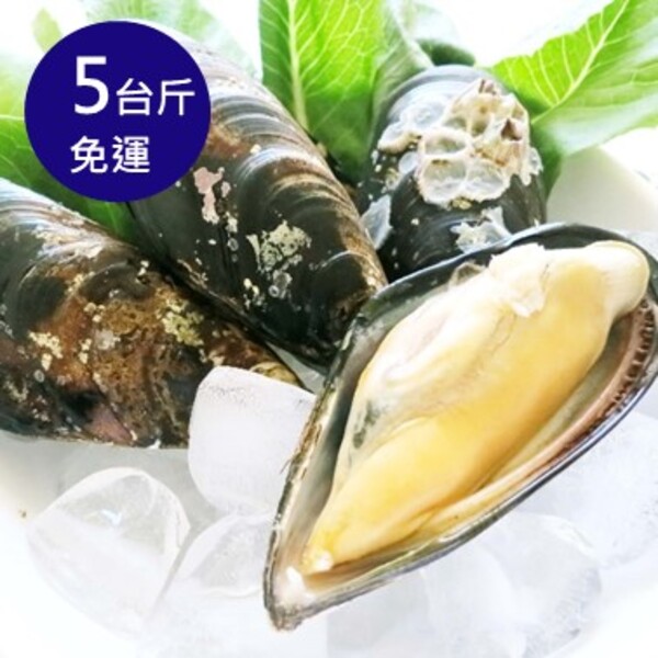 【大葉嚴選】馬祖黑金剛：淡菜_產地直送 