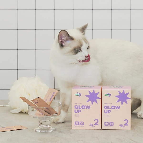 【CoCoLAB Pet Supplement】皮毛養護配方寵物保健粉_鮮活海鮮風味(30入) 
