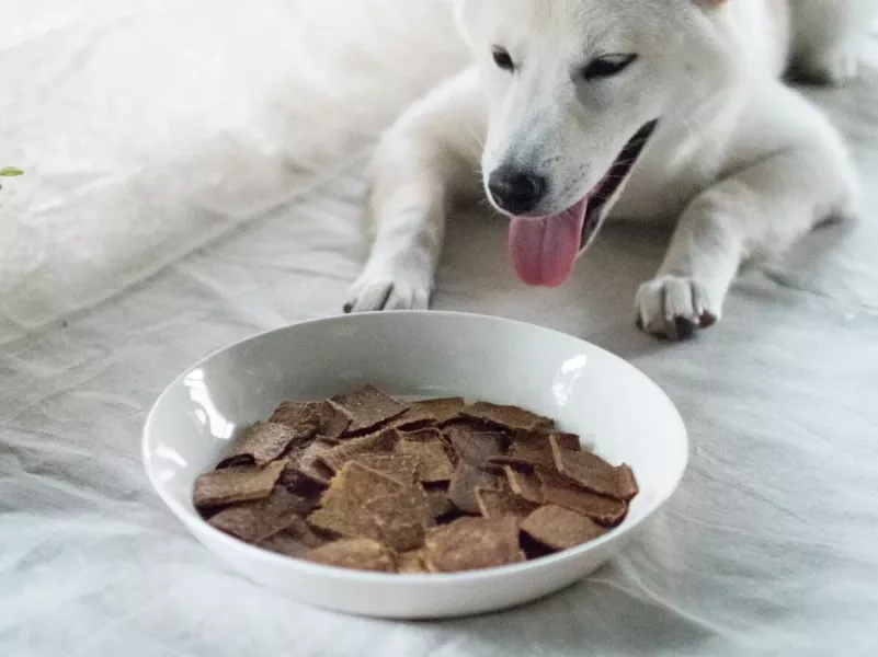 【CoCoTreats】原野香草手工零食x3包組_老年犬貓 