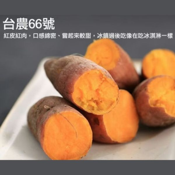 【田匠物產】66紅心地瓜(2袋裝)1200g 天然無毒 