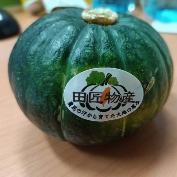 【田匠物產】綜合蔬菜箱(筊白筍＋玉米＋杏鮑菇＋57地瓜＋洋蔥＋貝貝南瓜)天然無毒 