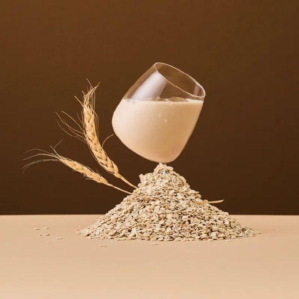 THE VEGAN 經典植物優蛋白_1KG/袋裝純素_燕麥奶/紅茶豆漿/無糖豆漿/無糖杏仁/無糖芝麻 