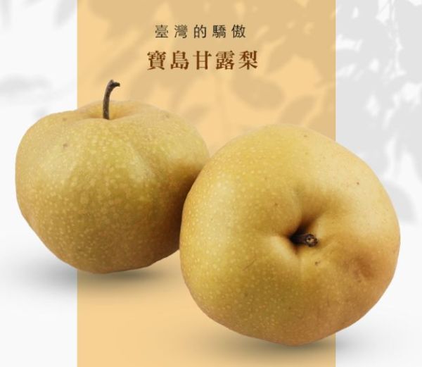【大葉嚴選】卓蘭寶島甘露梨6顆裝禮盒_22A級(約7.5台斤/盒)、24A級(約8台斤/盒)_低溫配送 