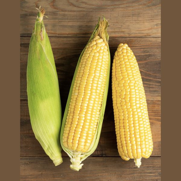 【田匠物產】綜合蔬菜箱(筊白筍＋玉米＋杏鮑菇＋57地瓜＋洋蔥＋貝貝南瓜)天然無毒 