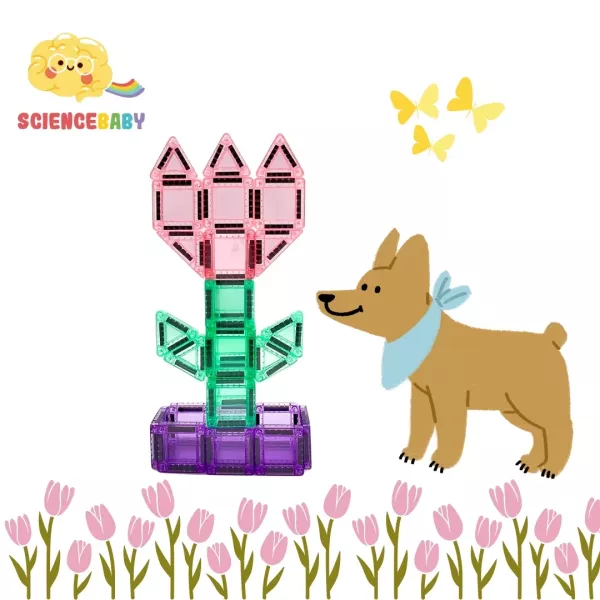 【ScienceBaby】糖果小磁片 42片 益智磁力片積木 