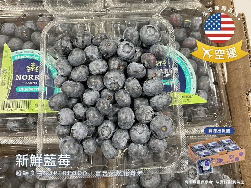 【大葉嚴選】美國 鮮採新鮮藍莓 125g/盒 12盒進口原箱 